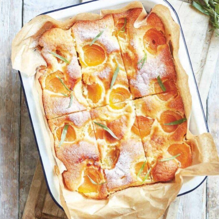 Abrikozen-yoghurtcake