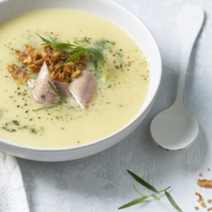 Knolselderijsoep met coquilles of paling